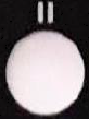 image-20251218-142555.png