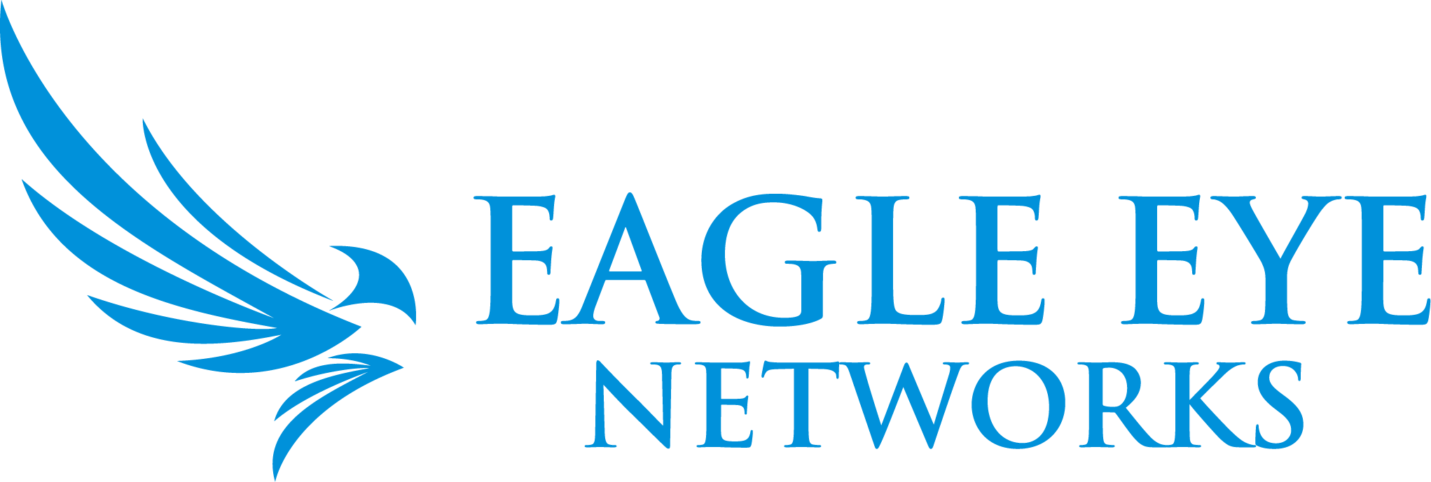 EEN Horizontal Logo - Color.png